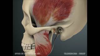 ATM em 3DArticulação temporomandibular [upl. by Rehtul]