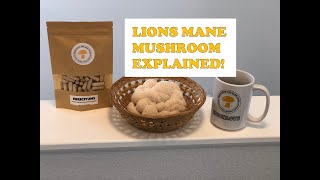 LIONS MANE MUSHROOM EXPLAINED everything you need to know about Lions Mane Mushrooms [upl. by Goodspeed]