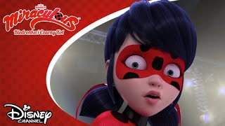 🐞 Twarzą w twarz  Miraculous Biedronka i Czarny Kot  Disney Channel Polska [upl. by Nare]