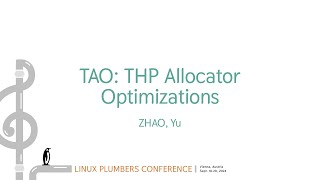 TAO THP Allocator Optimizations  ZHAO Yu [upl. by Ynohtn880]