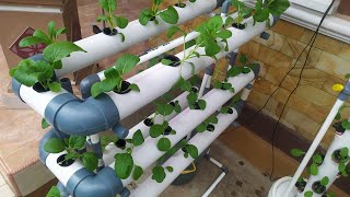 How to make vertical hydroponic system at home Part 1  hydroponic farming at home [upl. by Goldberg56]