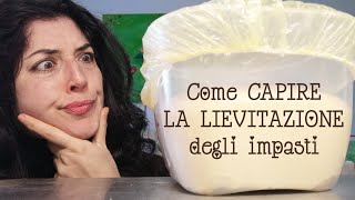 Come capire la LIEVITAZIONE degli impasti con LIEVITO MADRE [upl. by Ydurt286]