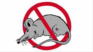 10 hour sound to scare away rats mice mosquitoes bugs  Ultrasonic Ultimate Extreme Mouse and rat [upl. by Luciana]