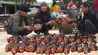 Zon happily goes to the market to sell chickens after the disease outbreak at the farm [upl. by Elem]