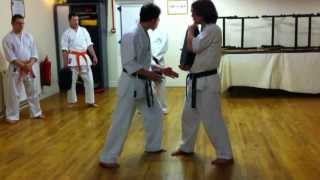 Body Dynamics for Close Range Striking in Traditional Karate [upl. by Bohs]