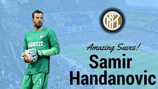 Samir Handanovic  Amazing Saves  201617  HD [upl. by Aioj]