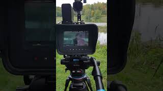 BMCC 25k EF  BMCC 25k MFT Recording On Cybina riverside 2022 [upl. by Nosnorb211]