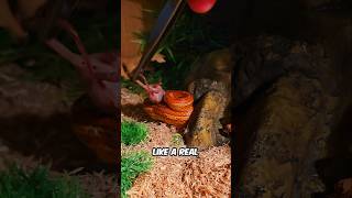 How to Feed a Snake Frozen Thawed Mice 🐍 [upl. by Agler]