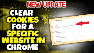 How to Clear Cookies for a Specific Website in Chrome 2024 [upl. by Daiz]