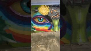 Eyes don’t lie graffiti wallart shorts bergen streetart norway beautifuleyes subwayart [upl. by Arihsa36]