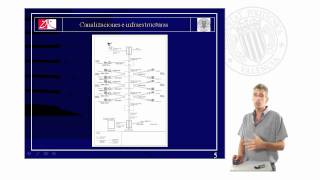 Estructura de una ICT Infraestructura Común de Telecomunicaciones  4951  UPV [upl. by Jewel]