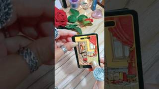 I CANT BELIEVE 🤯 their thinking about you 😯🌿🕉️🪷✨ generalreading tarot lovereading [upl. by Yddur]