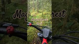 OSET Bike Magical Welsh Forest Hillclimb triumphadventureexperience Trials Moto dirtbike [upl. by Durrej]