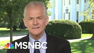 Peter Navarro Second Debater Wallace Responsible For Trump Missteps  Hallie Jackson  MSNBC [upl. by Aggri]