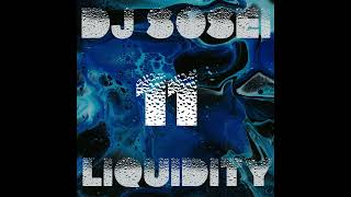 DJ Sosei  Liquidity 11 Liquid Drum amp Bass [upl. by Lodovico]