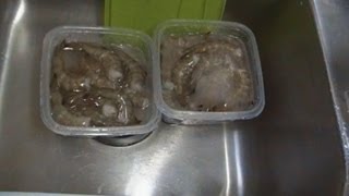 How to Best Thaw Frozen Shrimp Noreens Kitchen Quickie [upl. by Leiad]