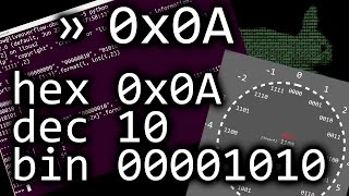 The deal with numbers hexadecimal binary and decimals  bin 0x0A [upl. by Zaslow345]