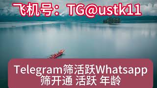 Telegram筛活跃Whatsapp筛开通 活跃 年龄TGustk11 [upl. by Llehsar908]