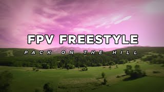 FPV Freestyle  PackOnTheHill [upl. by Norma]