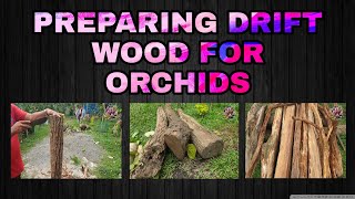 HOW TO PREPARE A DRIFTWOOD FOR ORCHIDSV32 [upl. by Ettebab222]