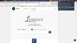 Tutorial How to use Linguee [upl. by Munniks]