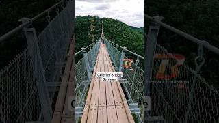 Geierlay Bridge in Germany shorts europe travel germany [upl. by Mcroberts]