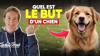 Quel Est Le But DUn Chien [upl. by Kaylil730]