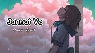 Jannat Ve Hindi Best Song  Slowed  Reverb Song [upl. by Yornoc]