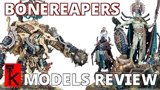 OSSIARCH BONEREAPERS  MODEL RANGE REVIEW  Warhammer Age of Sigmar [upl. by Adian]