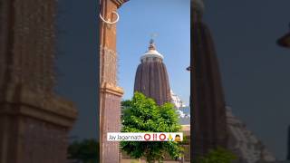 jayjagannath jagannathpuriodisha mahabahuodiabhajanashort [upl. by Anahsohs]