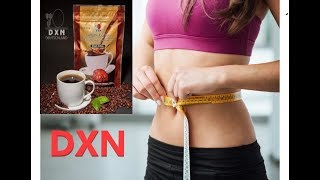 Simple way to loss your weight with Dxn Lingzhi Black Coffee [upl. by Swayder]