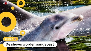 Dolfinarium laat dolfijnen en walrussen geen kunstjes meer doen [upl. by Singh381]