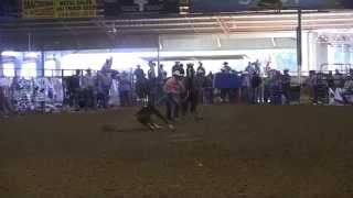 Joe Beaver Junior Superstars Stephenville TX 1619 Tiedown [upl. by Yoong373]