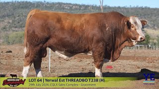 LOT 64 YERWAL EST THREADBO T238 H [upl. by Inalial52]