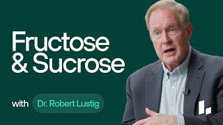 Why Sugar Is Problematic for Metabolic Health  Dr Robert Lustig Ultimate Guide [upl. by Auqkinahs]