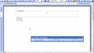 Word 2003 Basico Numerar las páginas  wwwofimaticaparatorpescom [upl. by Odelia311]