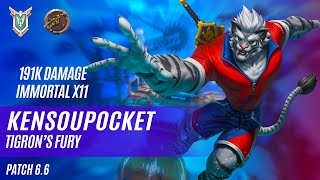 191K DAMAGE IMMORTAL X11 KENSOUPOCKET TIBERIUS PALADINS COMPETITIVE MASTER TIGRON’S FURY [upl. by Jeffrey665]