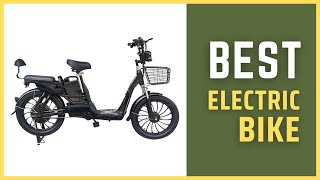 Best Electric Bike  OEM 20 Inch Fat Tire Delivery Electric Bicycle Review [upl. by Annohsat753]