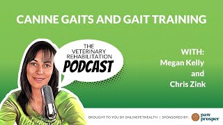 Canine Gaits and Gait Training with Chris Zink [upl. by Rases484]