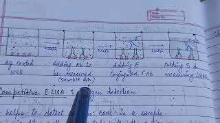 ELISA test notes EIA Enzyme ImmunoassayTypes of Elisa zoologynotes alkaranigupta8791 [upl. by Wainwright417]