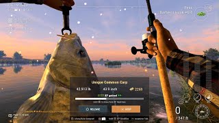 Fishing Planet  Unique Common Carp  San Joaquin Delta [upl. by Morey]