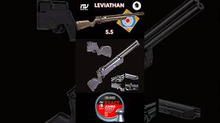 Nova Vista Leviathan 55 PCP test with JSB 1589 Gn  85 yards airgunhunters [upl. by Bree74]