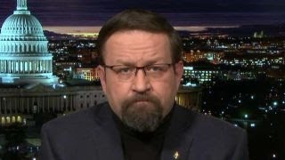 Gorka The alpha males are back on January 20th [upl. by Kameko]