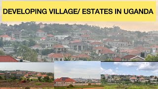 This is Kitukutwe Village In Kirra Municipality UgandaLets Explore This Developing Estates Here [upl. by Kramnhoj]