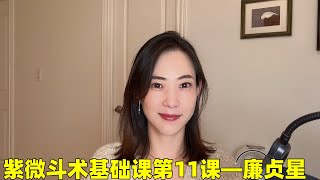 紫微斗术基础课第11课，十四主星之廉贞星 [upl. by Bobina447]