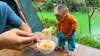 Jic Jic camped on the hill and cooked instant noodles and eggs with his dad to eat [upl. by Therine441]