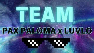 Pax Paloma x LUVLO  Team lyric video  clean pop songs 20242025 [upl. by Fenwick978]