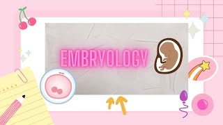 1st Week Of Development Embryology biology mbbs anatomy doctor [upl. by Siro526]