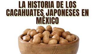 LA HISTORIA DE LOS CACAHUATES JAPONESES EN MÉXICO [upl. by Ynhoj]