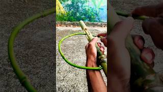 New Green Bamboo projectbamboo satisfying bamboocrafts diy [upl. by Chappell]